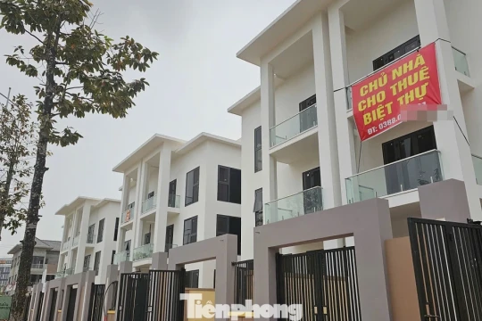 Giao dịch nhà ở thấp tầng Hà Nội giảm mạnh, giá đi ngang