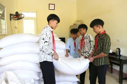 Phú Thọ phân bổ hơn 2.135 tấn gạo hỗ trợ học sinh vùng khó khăn
