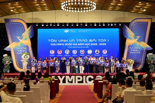 Violympic năm học 2025 - 2026: Tôn vinh hành trình chinh phục tri thức