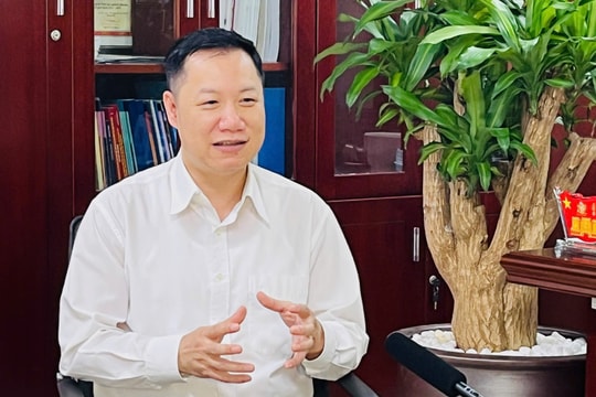Tuyển sinh đại học sẽ ổn định đến năm 2030