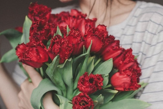Tử vi thứ 2 ngày 11/5/2026 của 12 con giáp: Sửu rủng rỉnh, Dần hụt hẫng