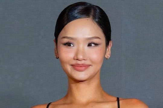 Được ví như “yêu nữ hàng hiệu”, Miu Lê từng lên kế hoạch mua penthouse 50 tỷ