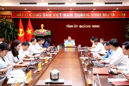 Quảng Ninh nghiên cứu làm nhà máy điện gió trên biển