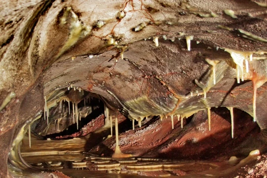 Lỗ thở của Trái đất