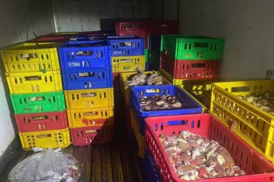 TPHCM liên tiếp phát hiện, tiêu hủy hàng tấn sản phẩm động vật không rõ nguồn gốc