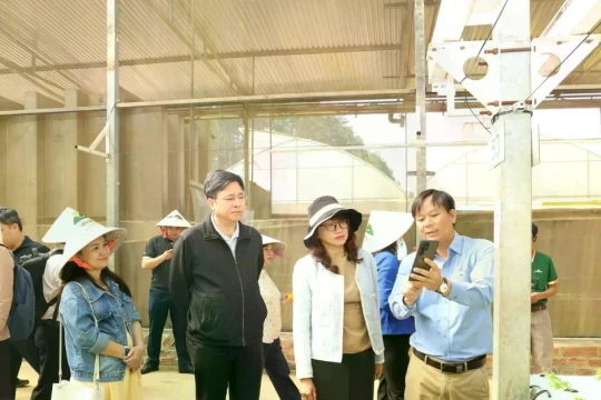 Đại học Quốc gia TPHCM thúc đẩy 'giải bài toán' phát triển địa phương