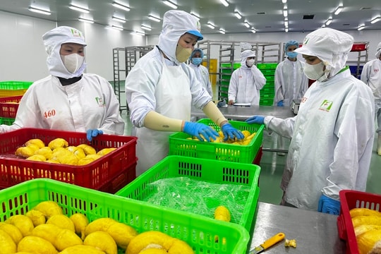 Khoa học, công nghệ là 'chìa khóa' chuyển đổi mô hình tăng trưởng nông nghiệp