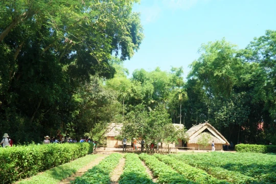 Dấu ấn quê Bác từ sản vật và ký ức văn hóa