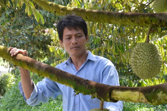 Đồng Tháp lần đầu tổ chức Lễ hội trái cây