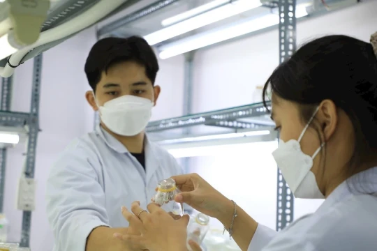 Chuẩn nghề nghiệp giảng viên, giáo viên sơ cấp, trung cấp: Từ tiêu chí đến động lực phát triển