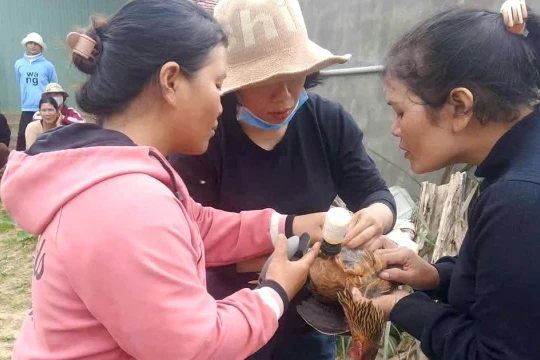 Gỡ khó đào tạo nghề ở vùng đồng bào dân tộc thiểu số