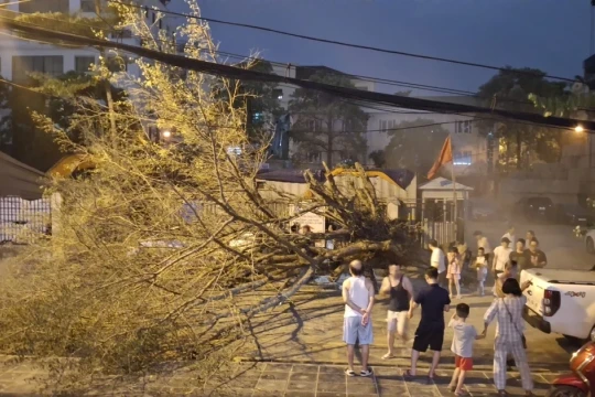 Hà Nội: Sau nắng nóng kỷ lục, mưa to gió lớn giật tung cây xanh, ô tô bị đè bẹp giữa phố