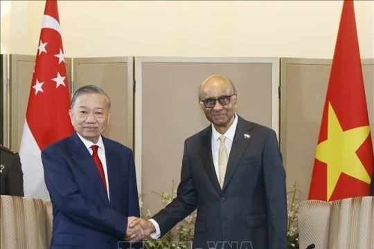 Tổng Bí thư, Chủ tịch nước Tô Lâm hội đàm với Tổng thống Singapore Tharman Shanmugaratnam