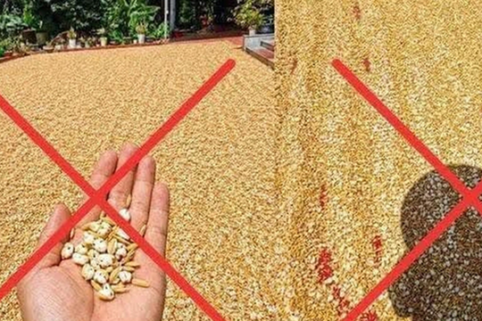 Đăng tin thóc phơi ngoài trời "nổ thành bỏng", người đàn ông bị xử lý
