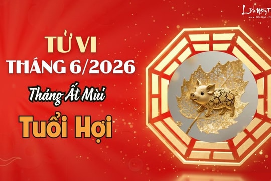 Tử vi tháng 6/2026 tuổi Hợi âm lịch: Vận khí đang may có thể suy giảm bất ngờ