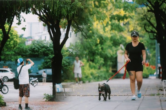 Hà Nội sáng nay thật lạ: Giữa tháng 6 mà se lạnh như mùa thu, người dân tận hưởng cảm giác 12 năm mới xuất hiện