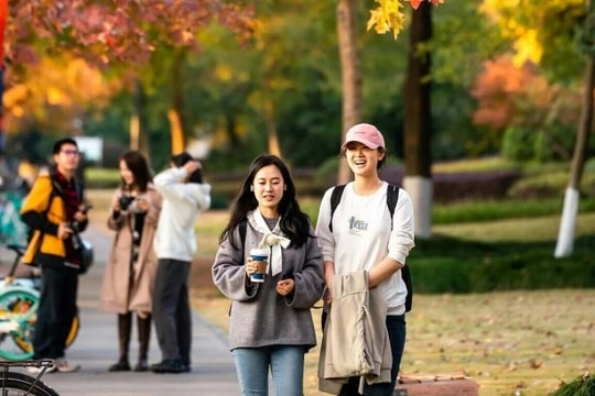 Harvard lần đầu mất vị thế dẫn đầu thế giới về nghiên cứu