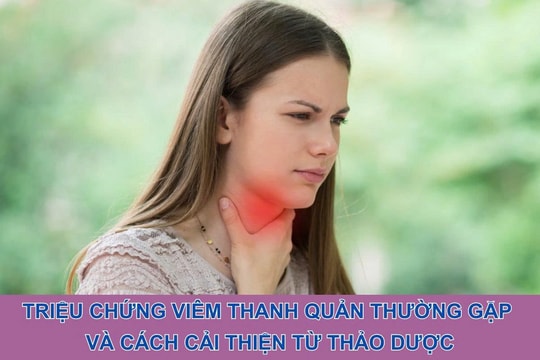 Triệu chứng viêm thanh quản thường gặp và cách cải thiện từ thảo dược