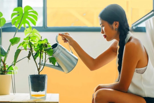 Định vị bản thân: Bạn mang linh hồn của thảo mộc nào tiết lộ điểm mạnh lớn nhất
