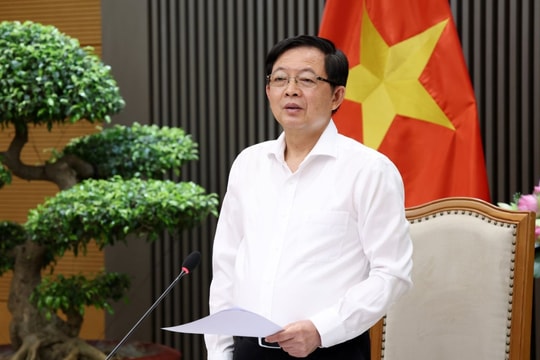 Phó Thủ tướng: Thay tư duy 'phân lô bán nền' sang phát triển nhà ở cao tầng, chung cư