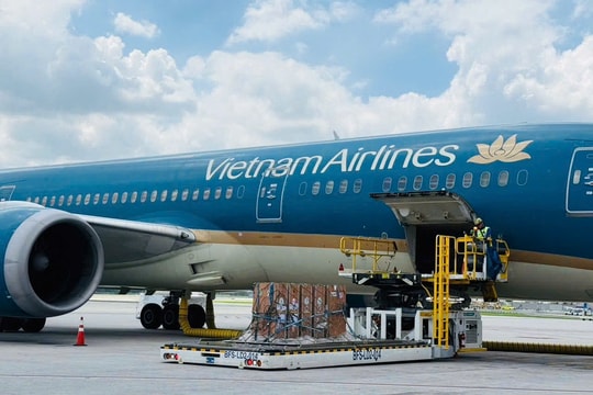 Vietnam Airlines đưa sếu đầu đỏ từ Thái Lan trở về Việt Nam, chung tay hồi sinh biểu tượng Đồng Tháp Mười