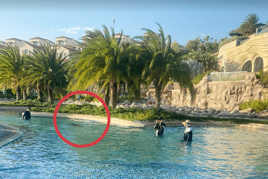 Phục hồi điều tra vụ bé 11 tuổi người Nhật tử vong ở hồ bơi tại resort