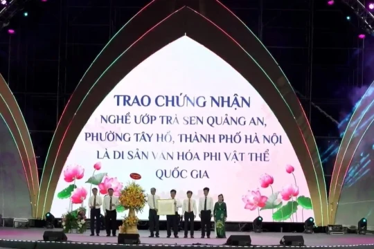 Từ đầm sen ngoại ô đến tinh hoa sen Hà Nội