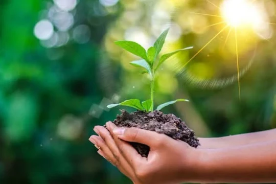 Muôn vàn ước mong cho một đời tận hiến