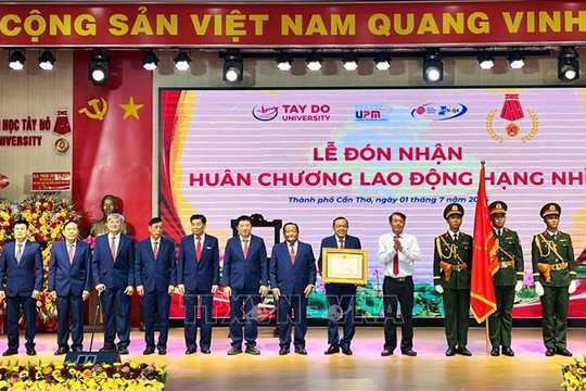 Tạo động lực phát triển nguồn nhân lực vùng Đồng bằng sông Cửu Long