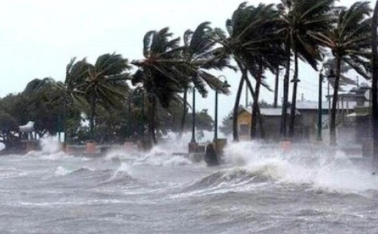 Bão số 1 Maysak giật cấp 11 trên khu vực ven biển Quảng Ninh, biển động rất mạnh