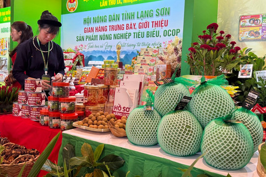 Giảm chi phí thể chế, tăng sức cạnh tranh cho nông nghiệp Việt