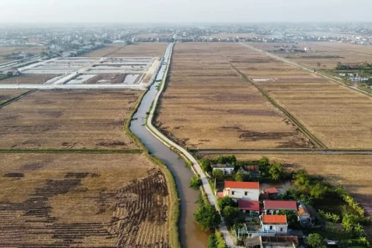 Đề xuất nâng mức đặt cọc đấu giá tối thiểu lên 20%: Kỳ vọng chặn 'cò' thổi giá đất