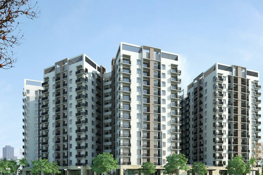 Đề xuất miễn tiền đất, vay vốn siêu rẻ làm nhà cho thuê