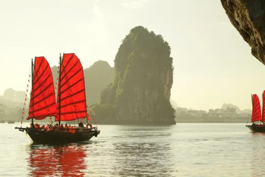 Đặc sắc trải nghiệm thuyền ba vách cánh buồm đỏ ngắm hoa phất dụ