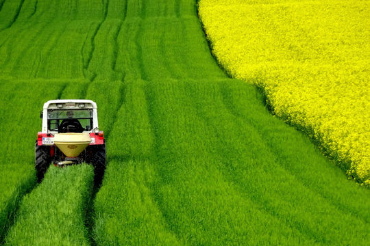 Tử vi Chủ nhật ngày 19/7/2026 của 12 con giáp: Mùi vui vẻ, Mão mất ngủ