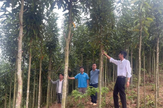 Nhà giáo giữ bình yên nơi cực Tây Tổ quốc