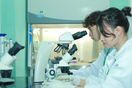 Quy định mức trần học phí với cơ sở giáo dục đại học công lập năm học 2026–2027