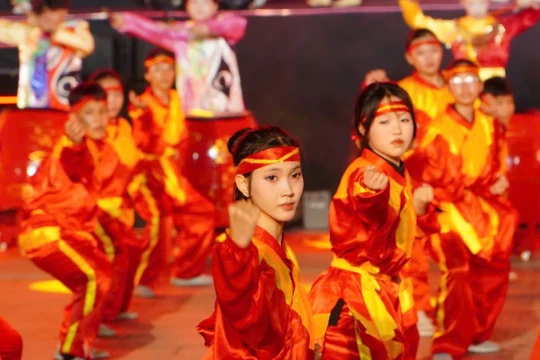 Khai mạc Liên hoan Quốc tế Võ cổ truyền Việt Nam lần thứ IX - Gia Lai 2026