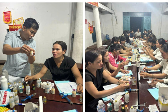 Mang kỹ thuật chăn nuôi về tận buôn làng M’Drắk