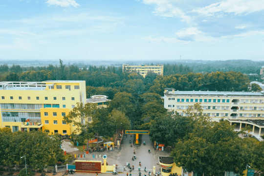 Đại học Trà Vinh công bố điểm chuẩn trúng tuyển, Y khoa dẫn đầu