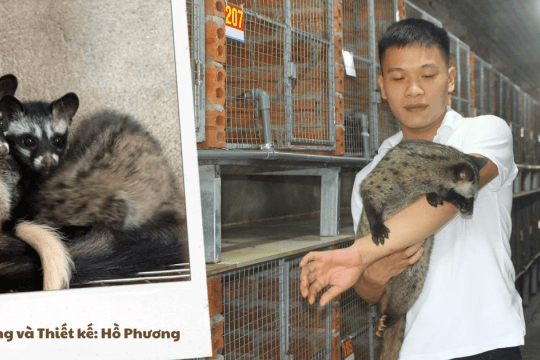 Rẽ lối sau lớp 12, chàng trai 25 tuổi gây dựng cơ ngơi tiền tỷ