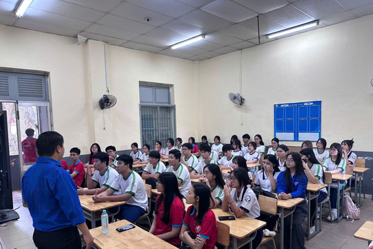 TP Hồ Chí Minh chính thức phê duyệt phương án sắp xếp trường công