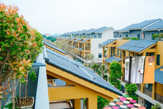 Vụ nữ Việt kiều Mỹ bị xâm hại ở Phú Thọ: Nạn nhân bị 'chuốc' rượu, khống chế bằng sức mạnh