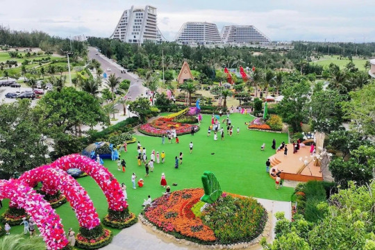 'Ngàn hoa về phố biển' thêm sắc màu cho du lịch Gia Lai