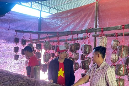 Khi lớp nghề bén rễ từ nhu cầu sinh kế