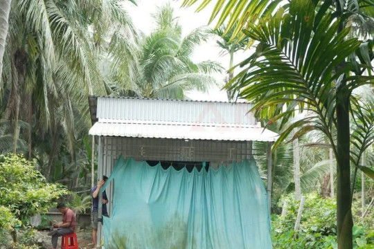 Nghi án chồng sát hại vợ rồi trèo lên ngọn dừa để trốn công an