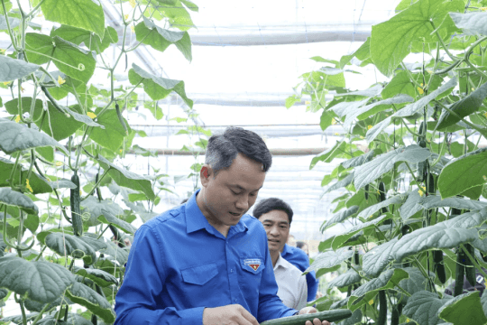 Phát huy đội ngũ trí thức trẻ, kỹ sư trẻ hỗ trợ sản xuất