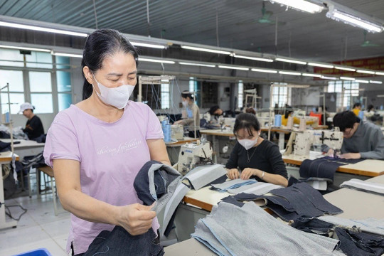 Gắn đào tạo nghề với sinh kế bền vững