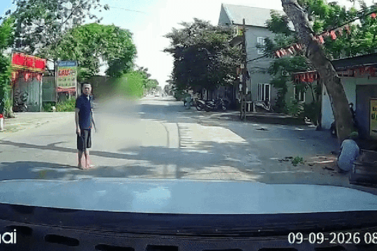 Vụ cưa cây đổ ra đường, đè người đi xe máy tử vong: Gia đình tự thuê người chặt cây chết trước nhà