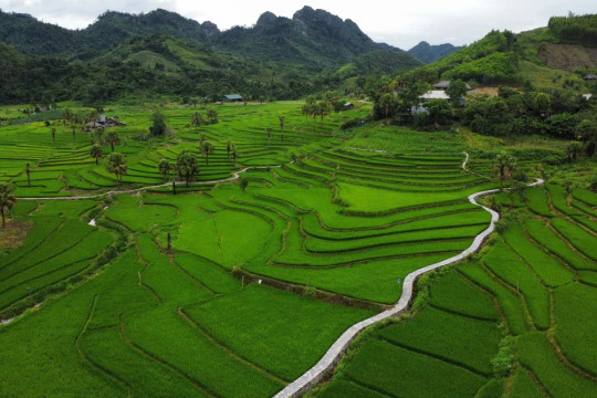 Mở thêm cơ hội giáo dục cho trẻ em Bản Tèn